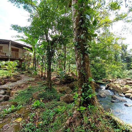 Cabaña Vista Río Celeste Exterior foto