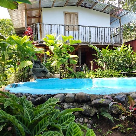 Cabaña Vista Río Celeste Exterior foto