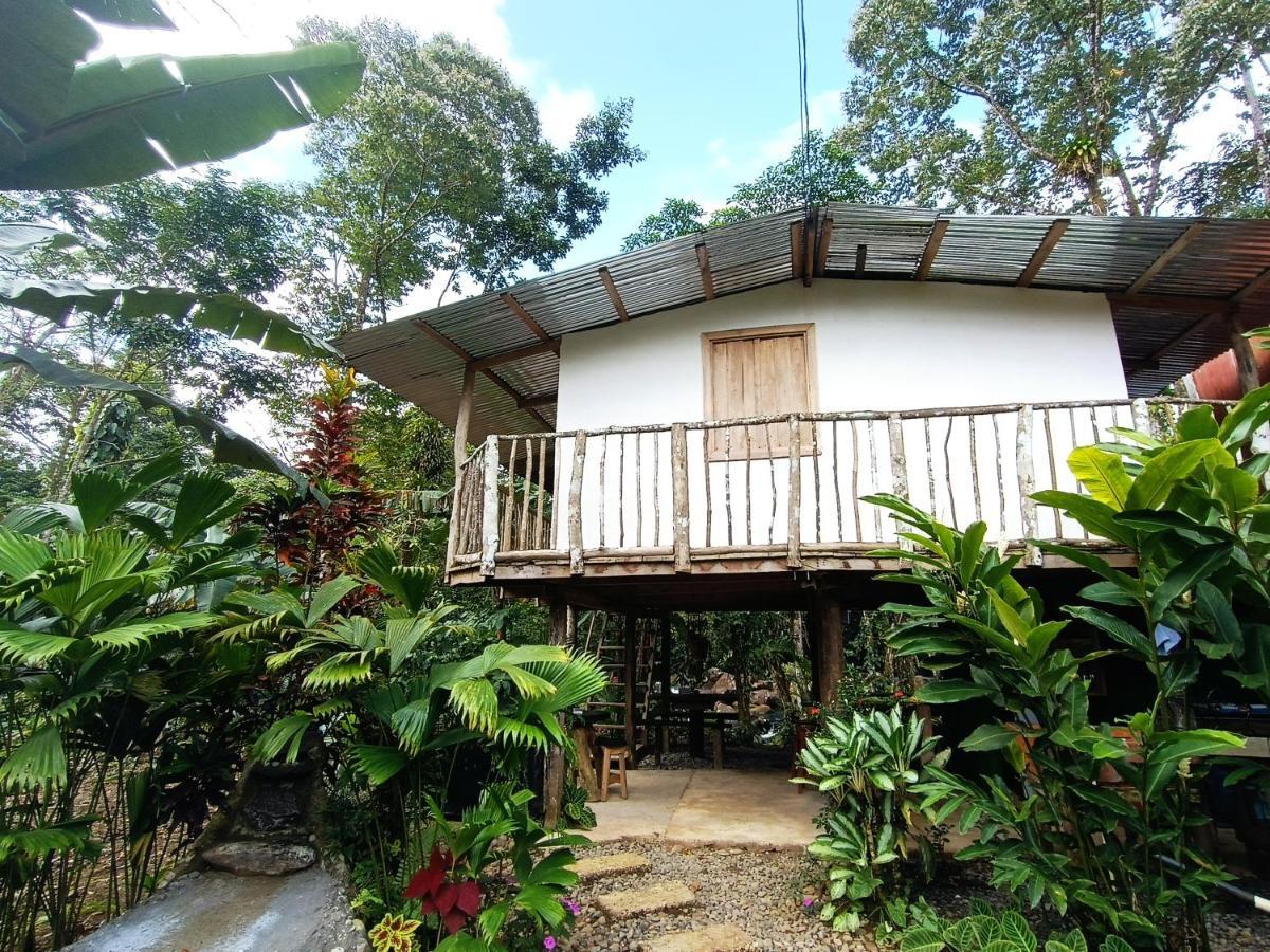 Cabaña Vista Río Celeste Exterior foto