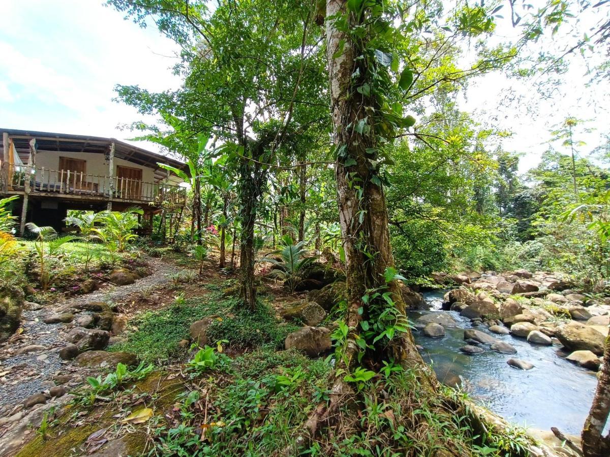 Cabaña Vista Río Celeste Exterior foto