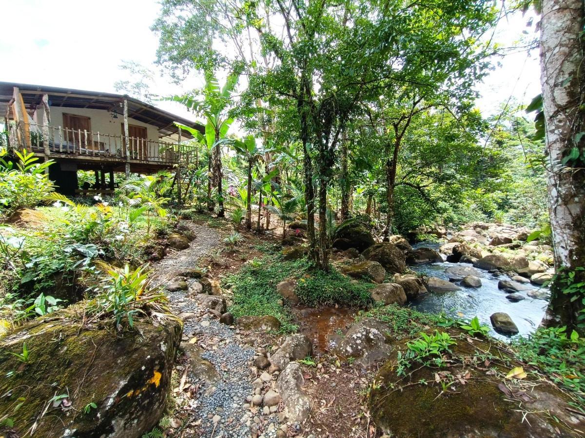 Cabaña Vista Río Celeste Exterior foto