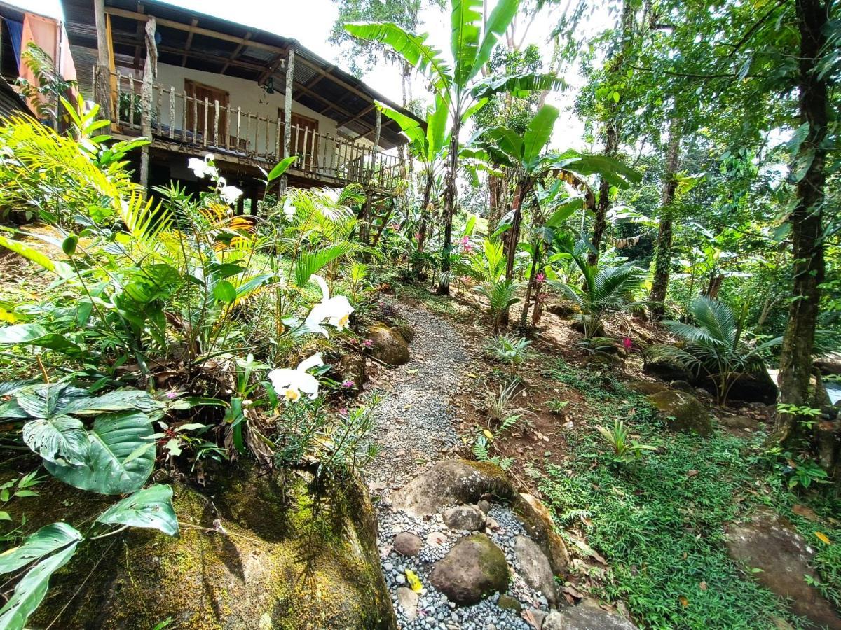 Cabaña Vista Río Celeste Exterior foto