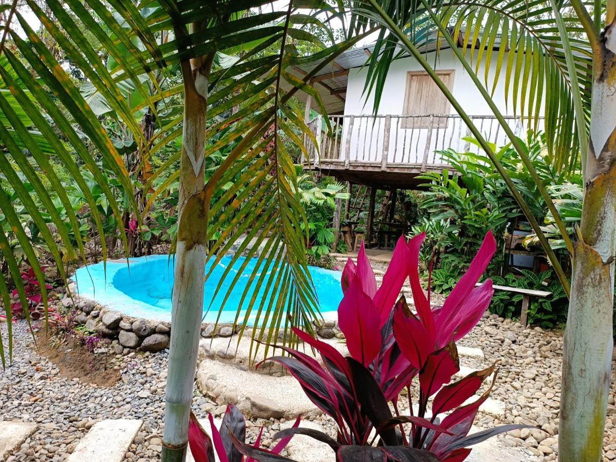 Cabaña Vista Río Celeste Exterior foto