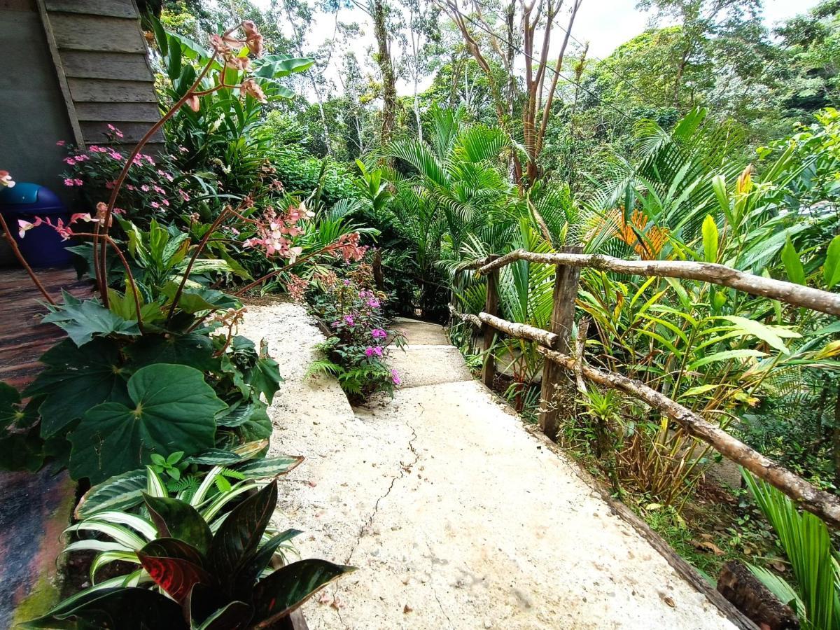 Cabaña Vista Río Celeste Exterior foto